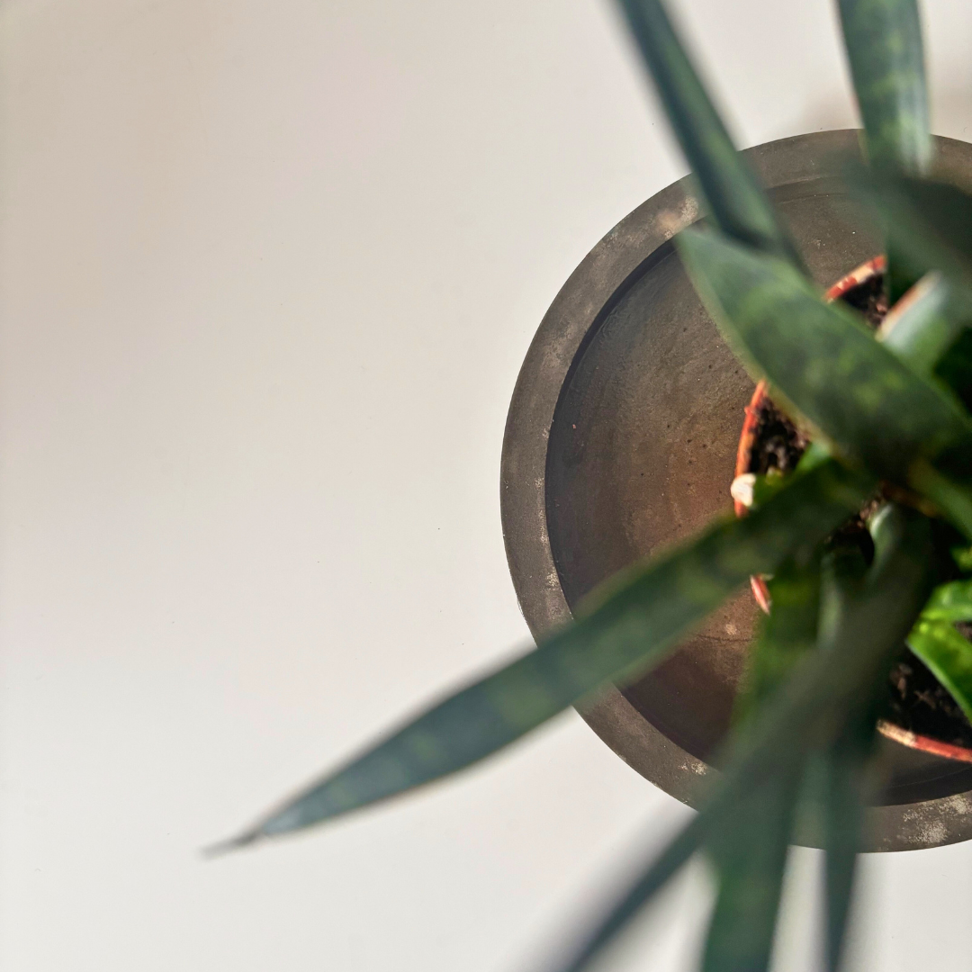 Dekoratiivne alus Ring (väike) image 5