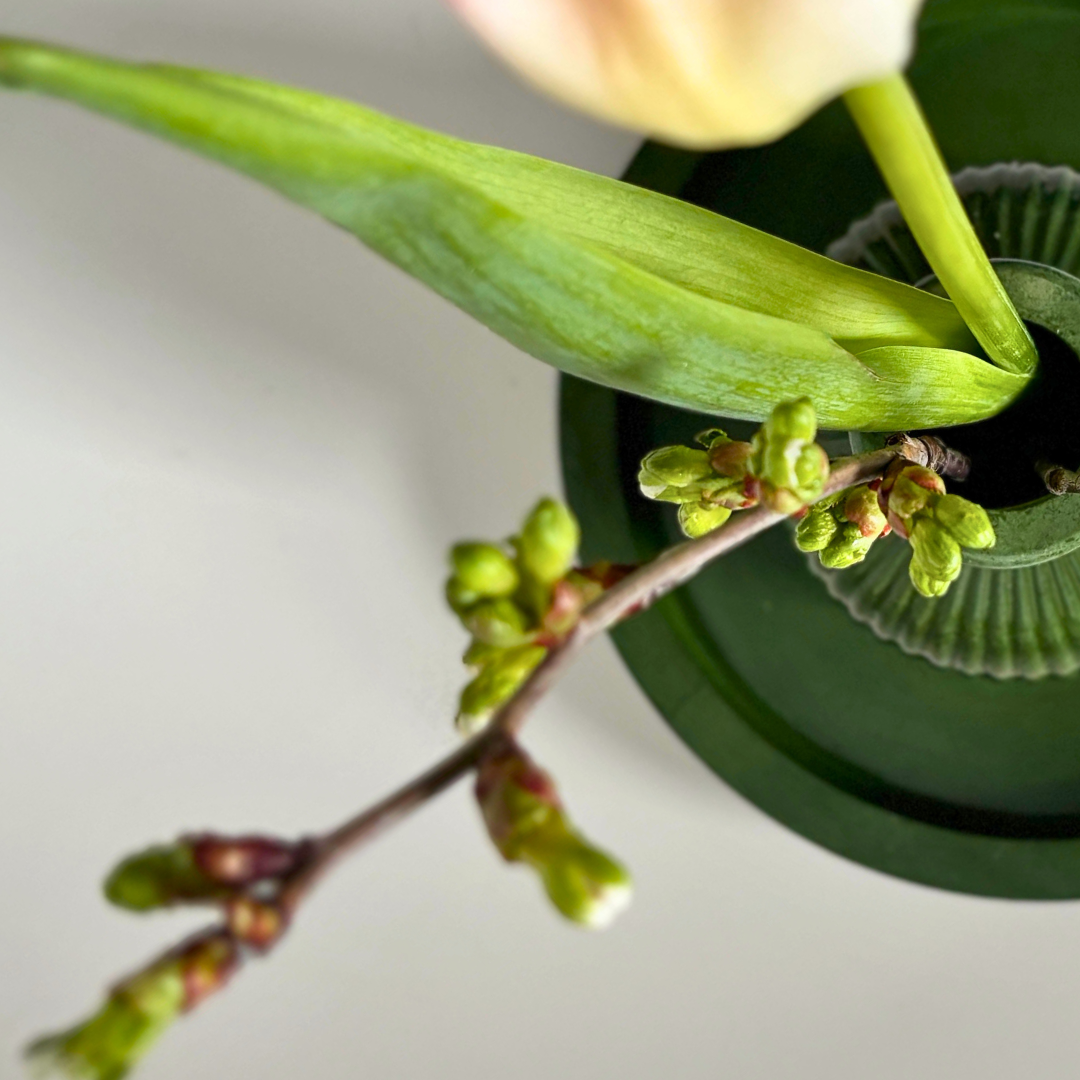 Dekoratiivne alus Ring (väike) image 16